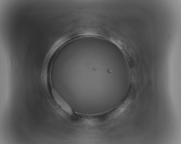 X0000110990199200906261456