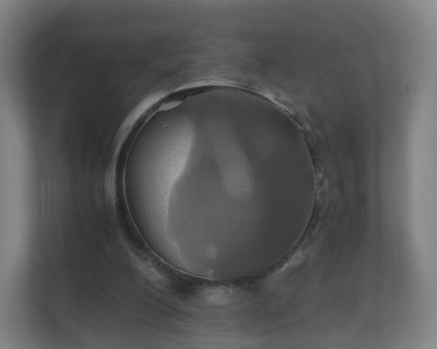 X0000110990200200906261456