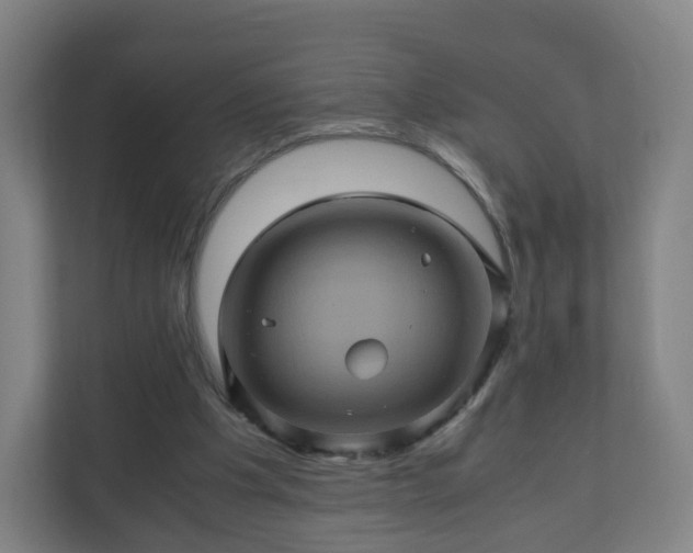 X0000110990201200906261456