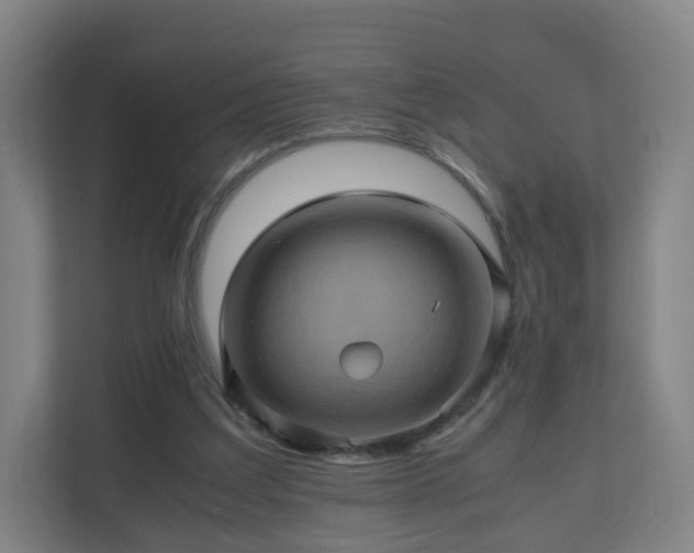 X0000110990203200906261456