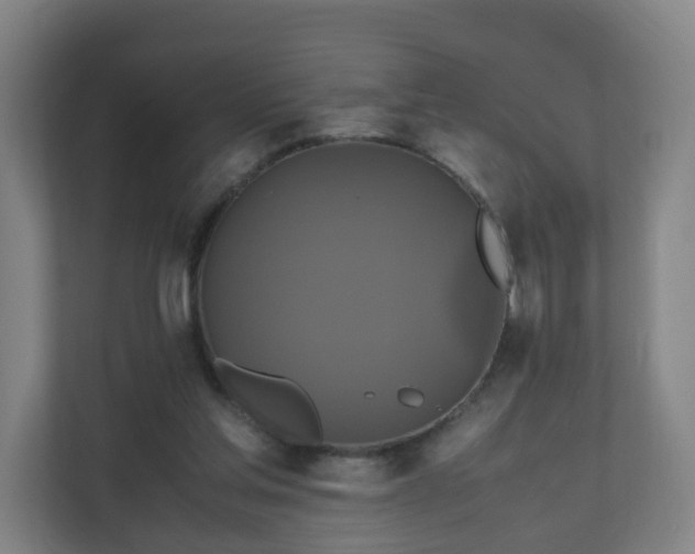 X0000110990205200906261456