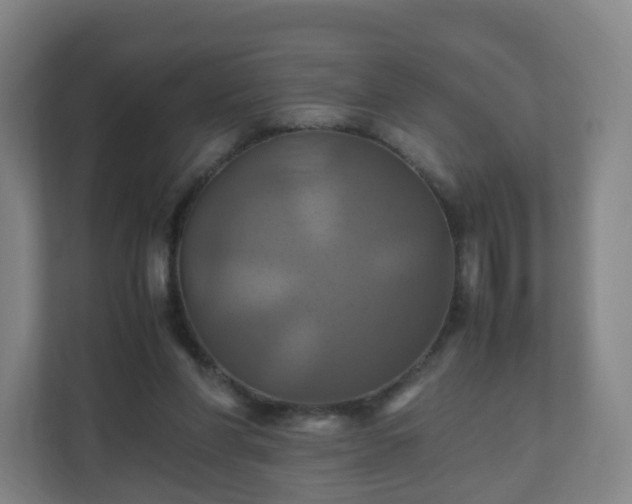 X0000110990206200906261456