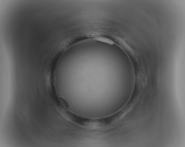 X0000110990209200906261456