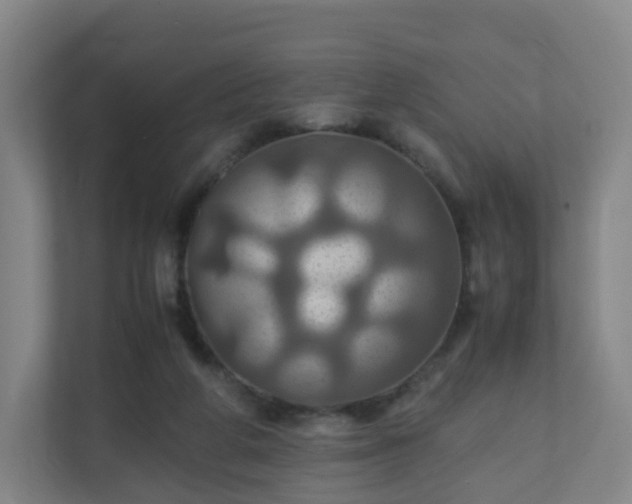 X0000110990210200906261456