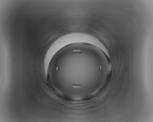 X0000110990215200906261456
