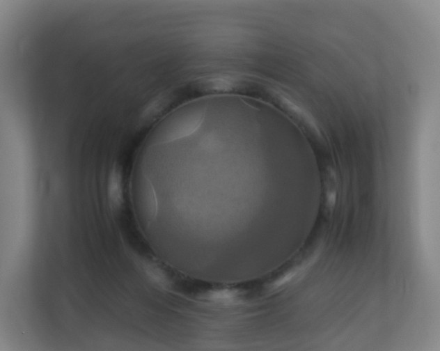 X0000110990216200906261456