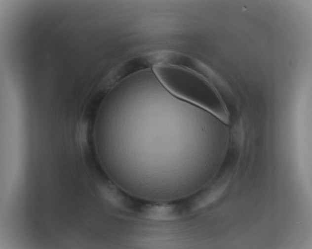 X0000110990217200906261456