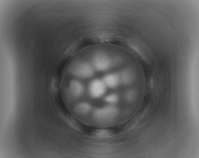 X0000110990218200906261456