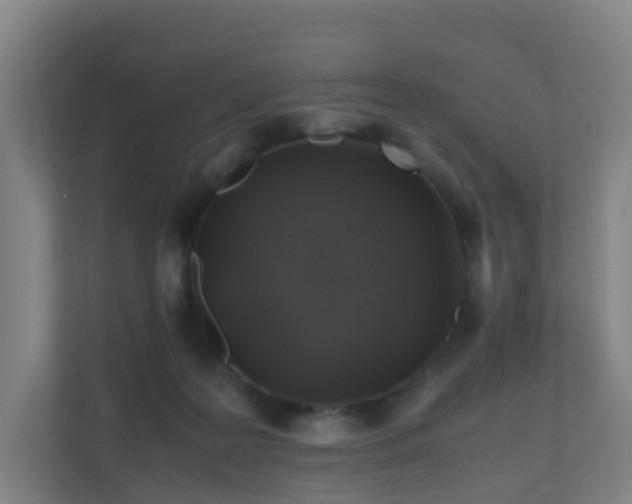 X0000110990219200906261456