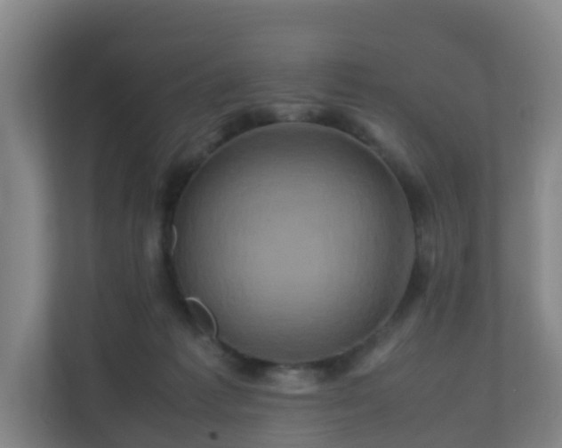 X0000110990221200906261456