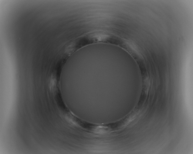 X0000110990222200906261456