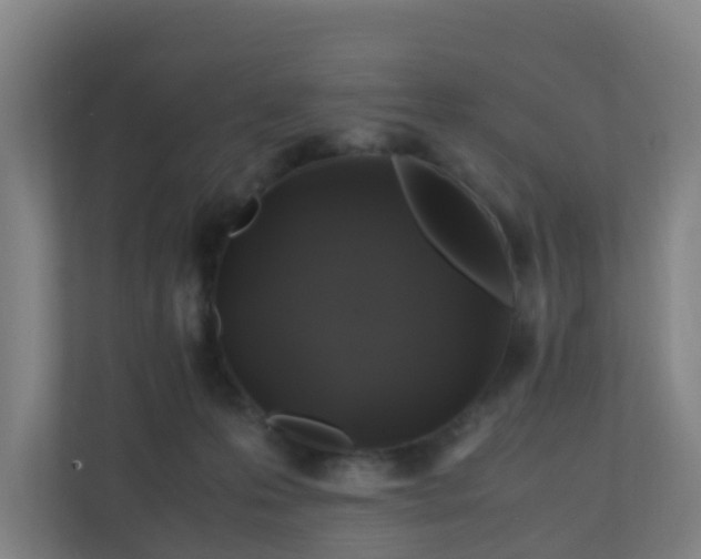 X0000110990223200906261456