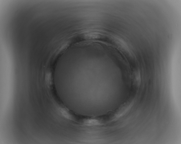 X0000110990224200906261456