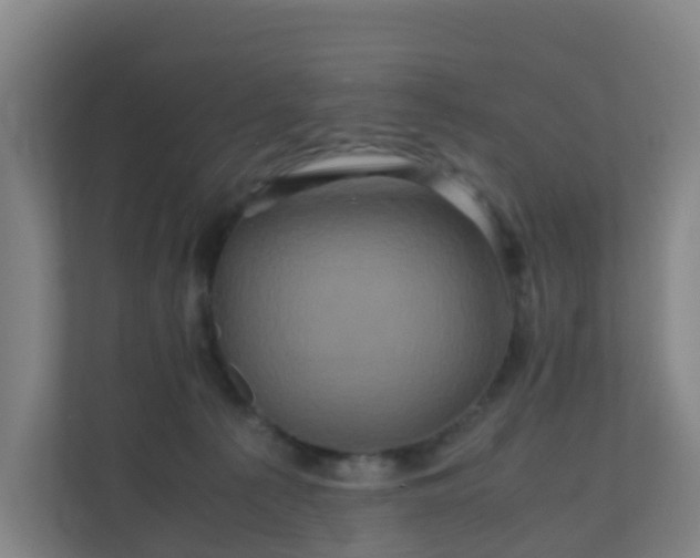 X0000110990225200906261456