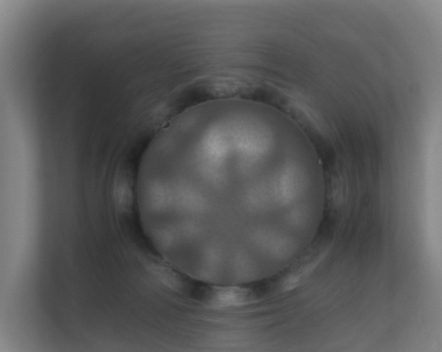X0000110990226200906261456
