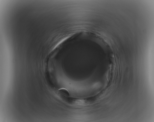 X0000110990227200906261456
