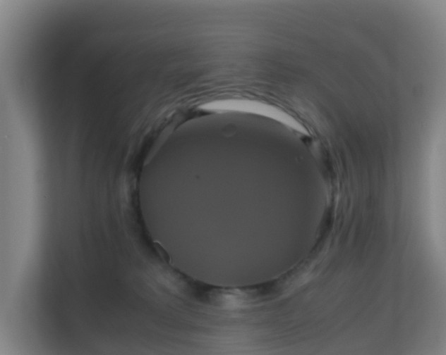 X0000110990229200906261456