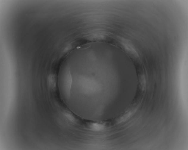 X0000110990232200906261456