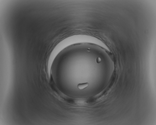 X0000110990233200906261456