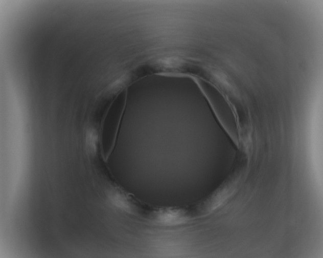 X0000110990235200906261456