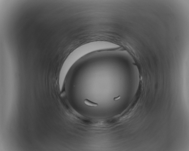 X0000110990237200906261456