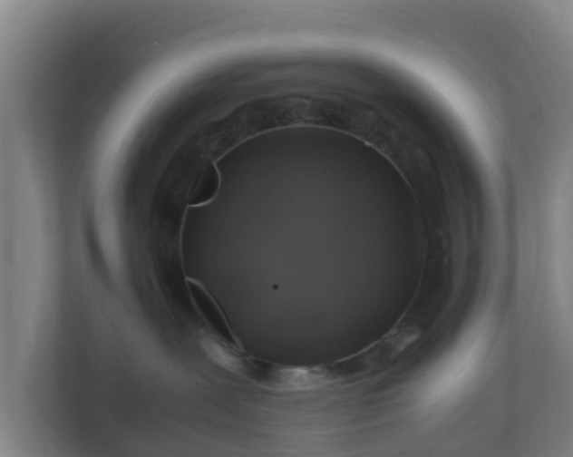 X0000110990239200906261456