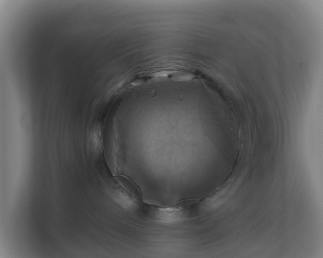X0000110990240200906261456