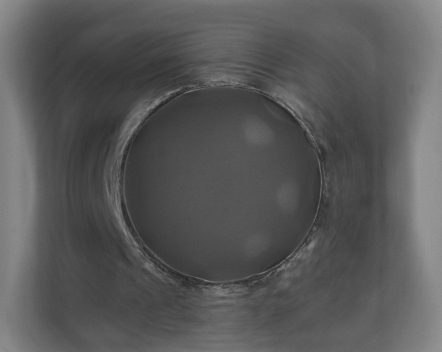 X0000110990241200906261455