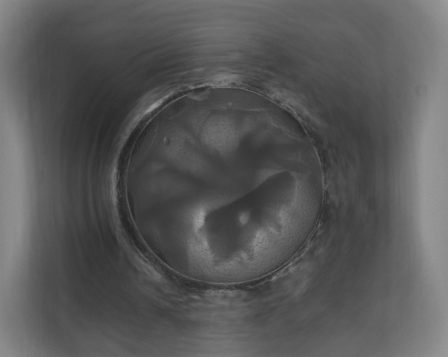 X0000110990242200906261455