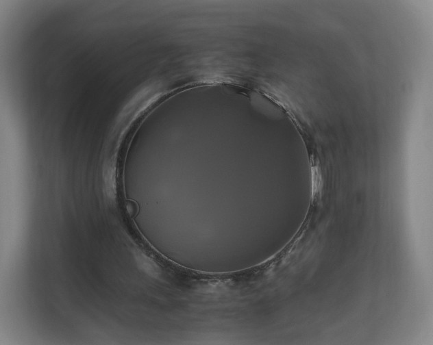 X0000110990243200906261455