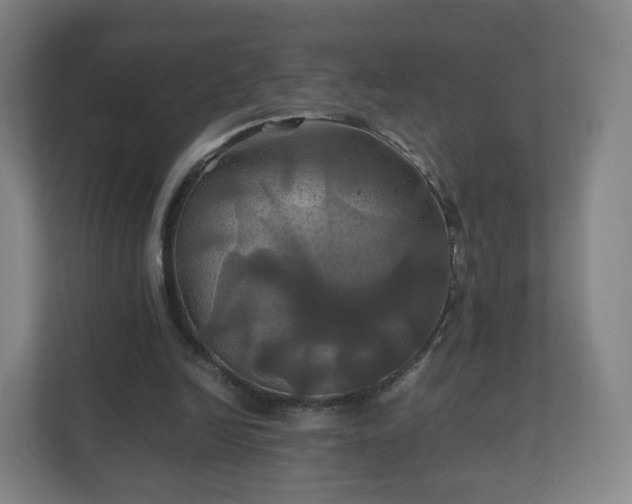 X0000110990246200906261455