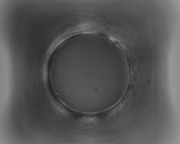 X0000110990247200906261455