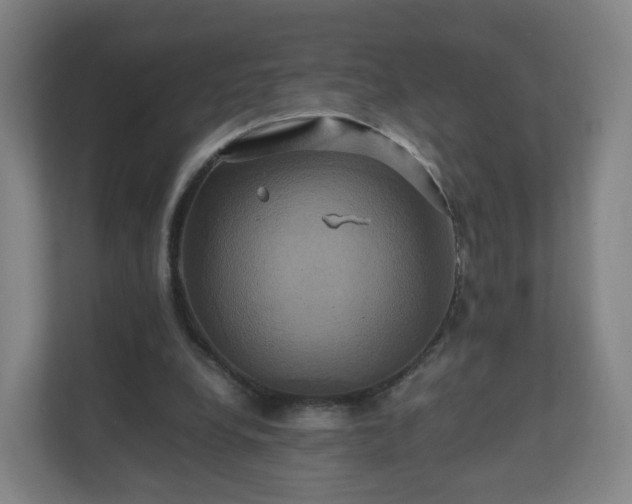 X0000110990248200906261455