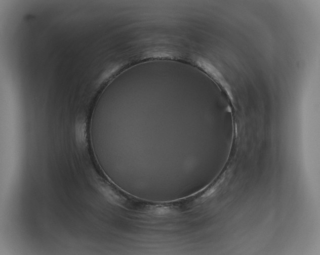 X0000110990249200906261455