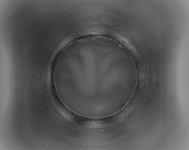 X0000110990250200906261455