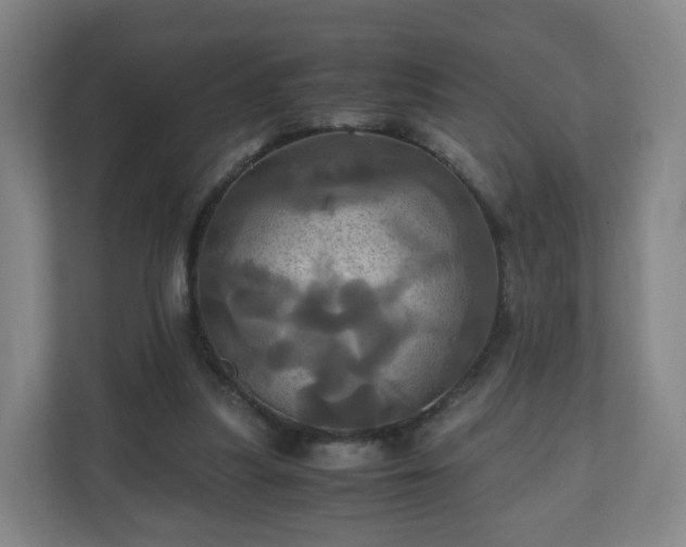 X0000110990251200906261455