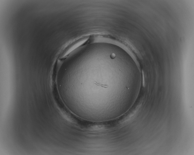 X0000110990252200906261455