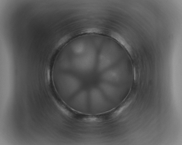 X0000110990253200906261455