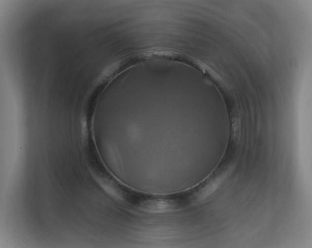 X0000110990254200906261455