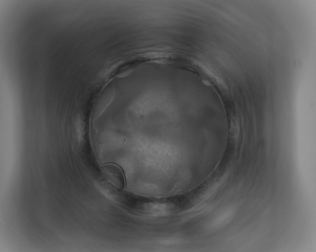 X0000110990255200906261455