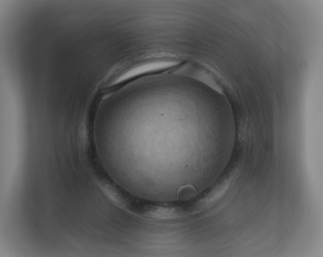 X0000110990256200906261455