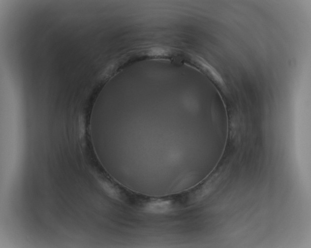 X0000110990257200906261455