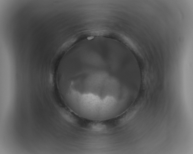 X0000110990258200906261455