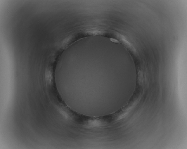 X0000110990259200906261455