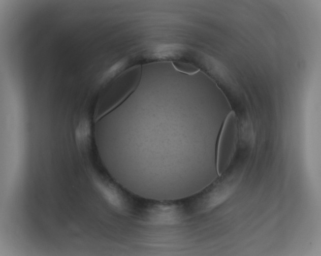 X0000110990260200906261455