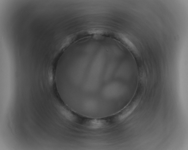 X0000110990261200906261455