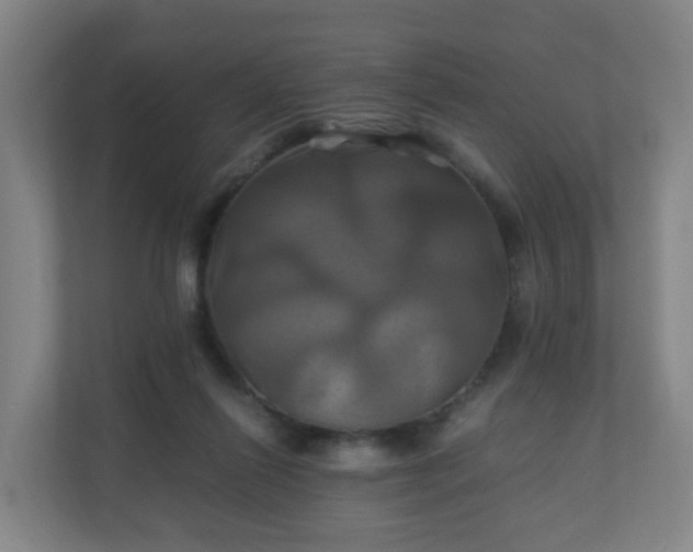 X0000110990262200906261455
