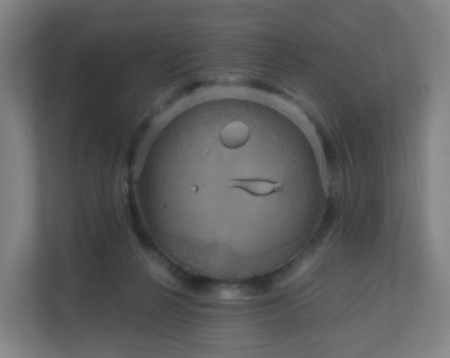 X0000110990264200906261455