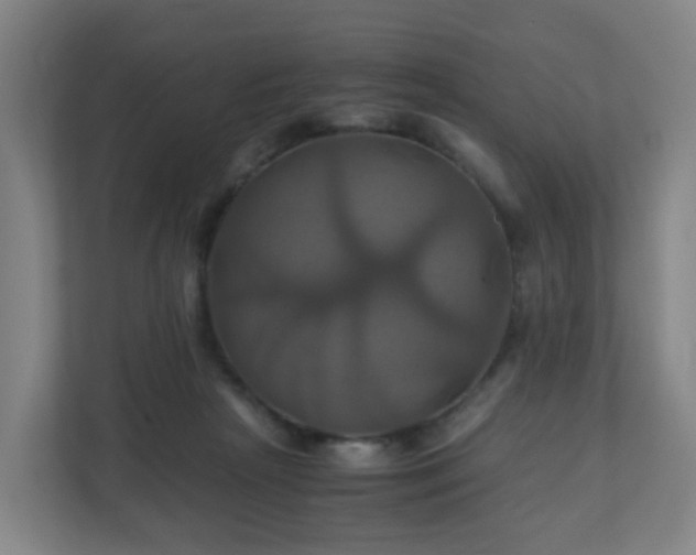 X0000110990265200906261455