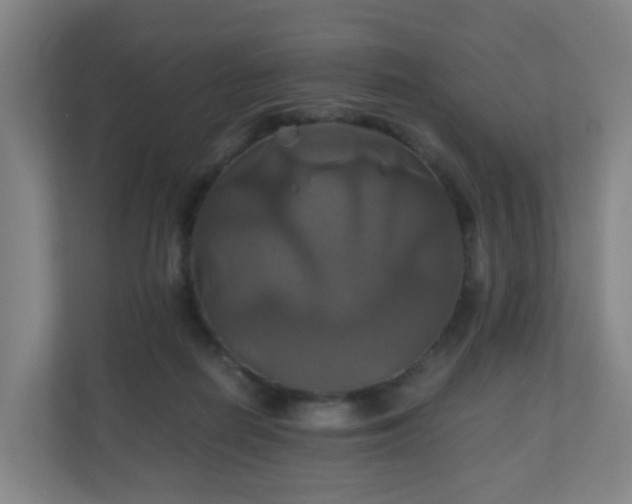 X0000110990266200906261455